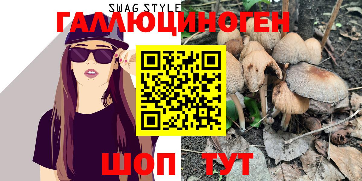 что такое наркотик  Галлюциногенные грибы Magic Shrooms  Вход с VPN  Гатчина 