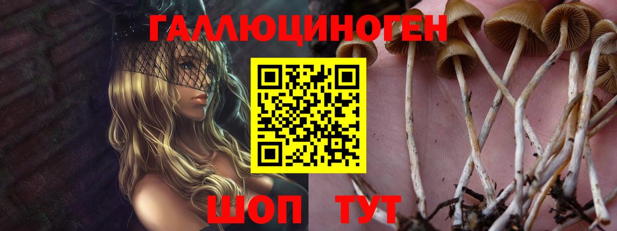 Галлюциногенные грибы Magic Shrooms Гатчина