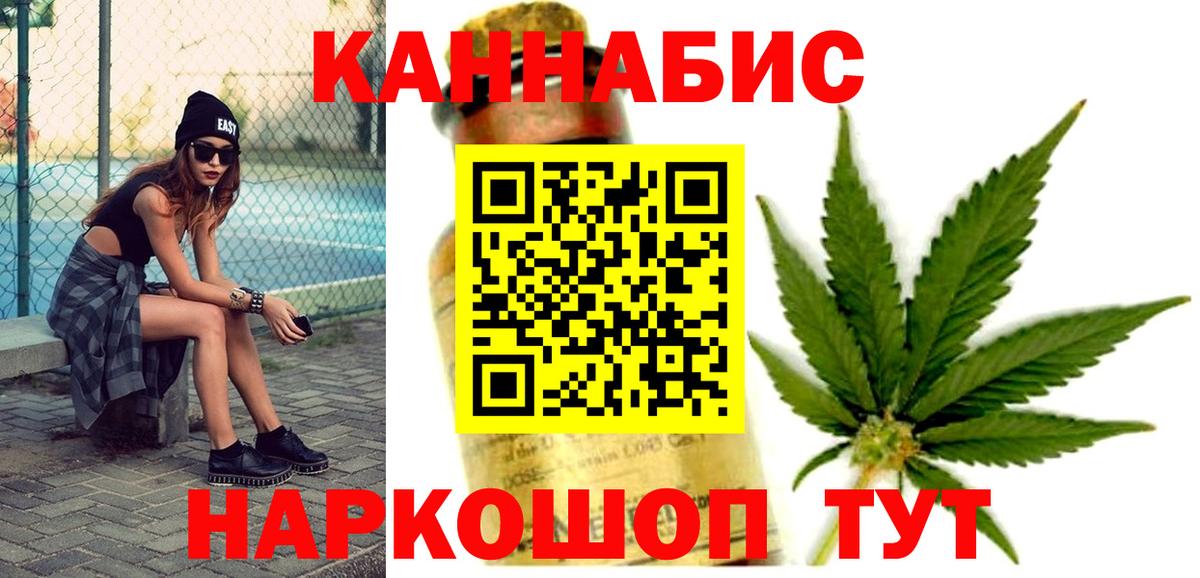 МАРИХУАНА сатива Гатчина